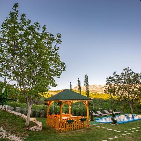 Pensjonat Cozy House Ostrog Nikšić Zewnętrze zdjęcie